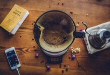 Research analysis: coffee labor in the borderlands