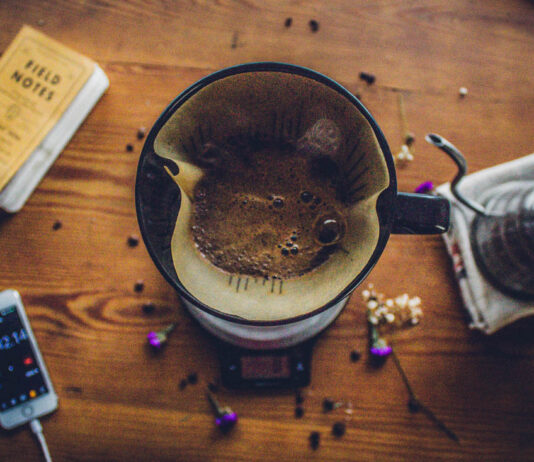 Research analysis: coffee labor in the borderlands